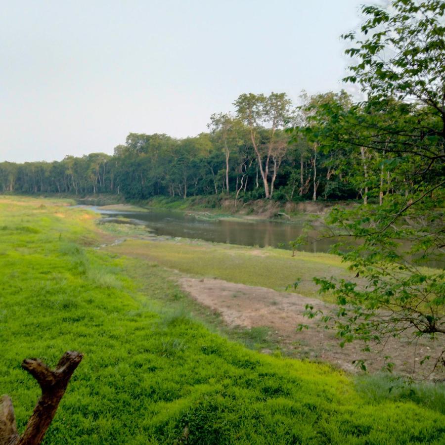 Hotel Tiger Tops Sauraha Exterior foto