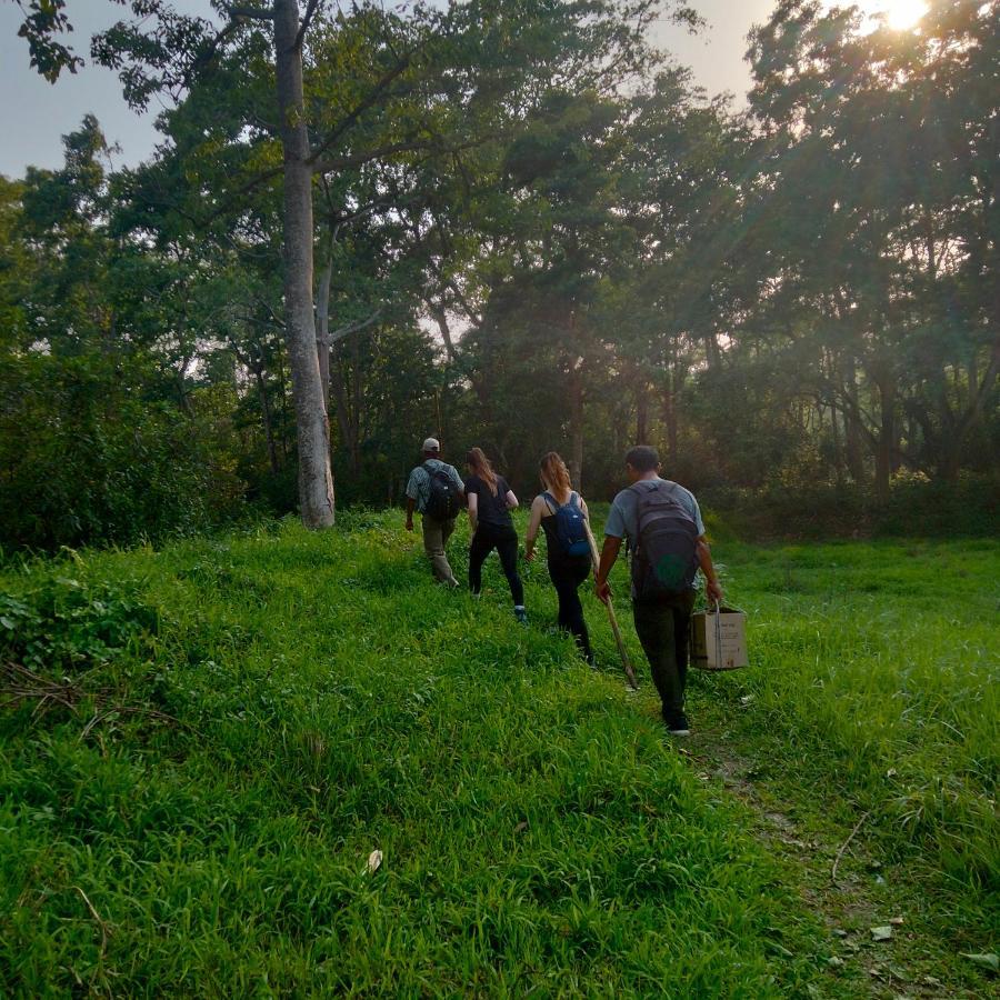 Hotel Tiger Tops Sauraha Exterior foto