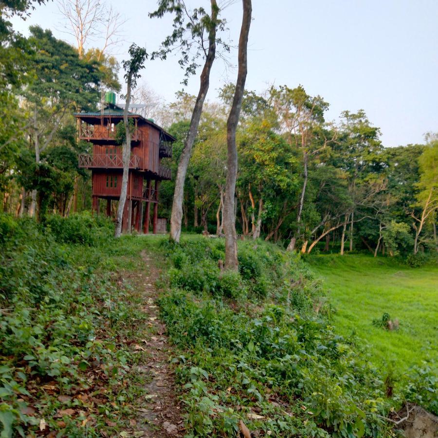 Hotel Tiger Tops Sauraha Exterior foto