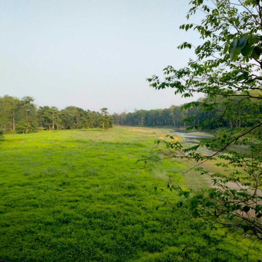 Hotel Tiger Tops Sauraha Exterior foto