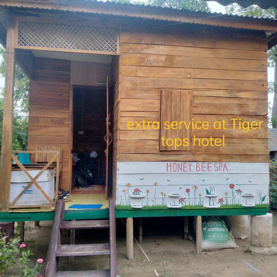 Hotel Tiger Tops Sauraha Exterior foto