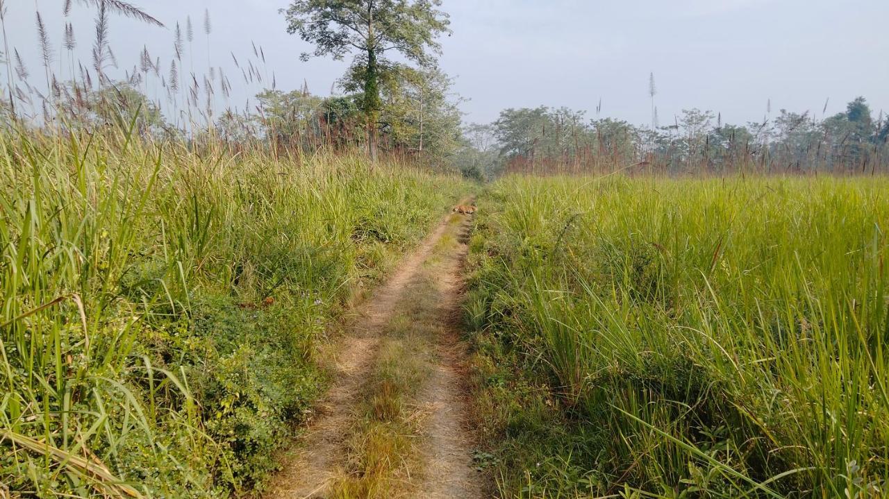 Hotel Tiger Tops Sauraha Exterior foto