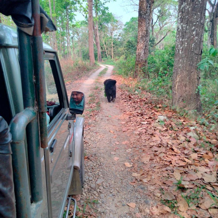 Hotel Tiger Tops Sauraha Exterior foto