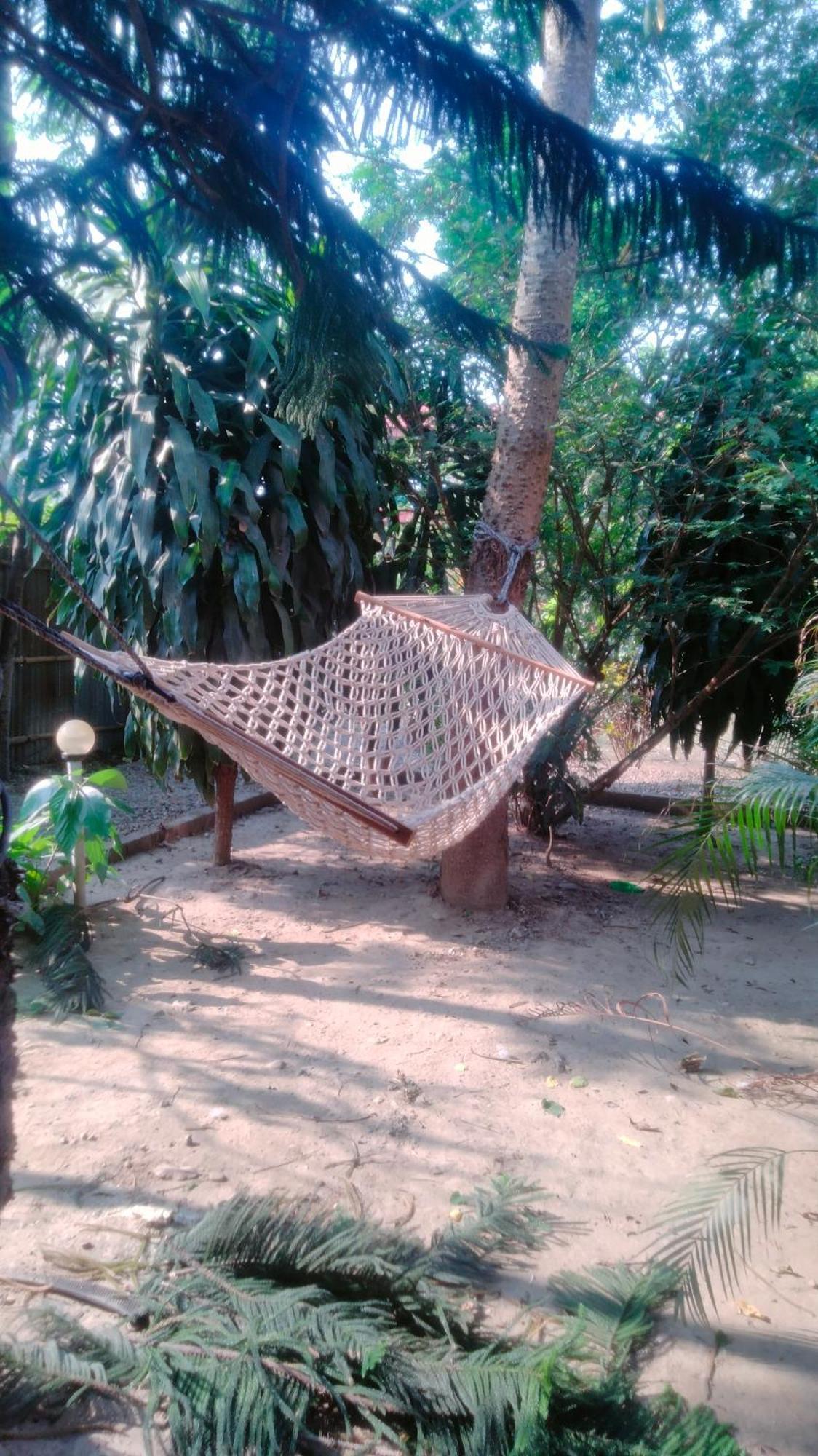 Hotel Tiger Tops Sauraha Exterior foto