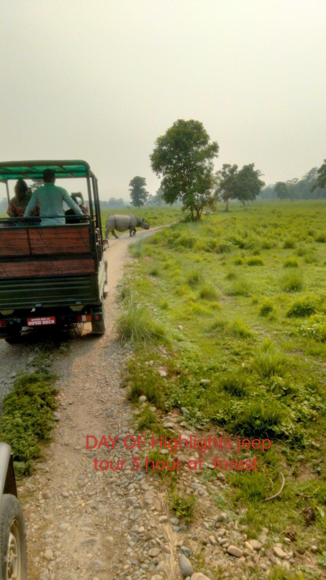 Hotel Tiger Tops Sauraha Exterior foto